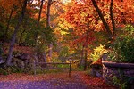 美國最宜賞秋的21個去處（下）